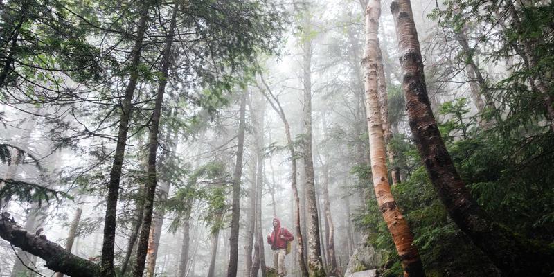 宜昌美容仪器市场现状解析与家用美容仪选购指南：从化妆品到美人梦园的美丽蜕变