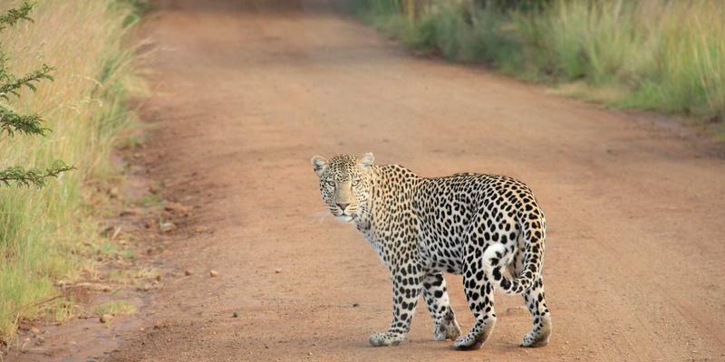 湖北敏感肌专业护肤指南：气候水质影响与科学应对策略