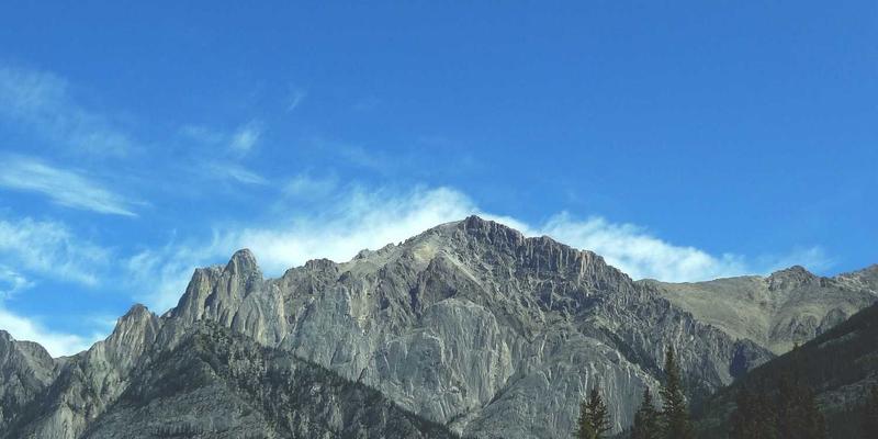 湖北本土美容品牌有哪些值得推荐？精选化妆品与发型设计指南