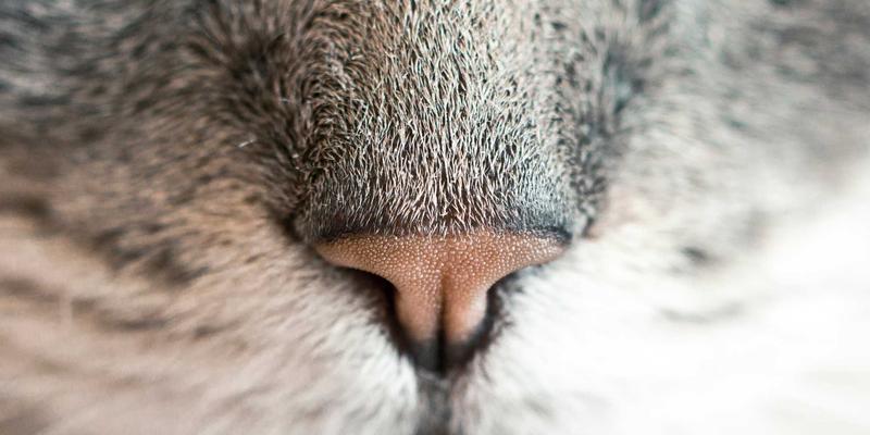 湖北美容95：在美人梦园邂逅发型设计的艺术，定义你的独特魅力