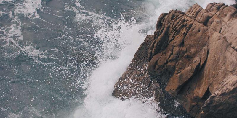 湖北美容新势力：探秘神农架植物成分的专业护肤潜力