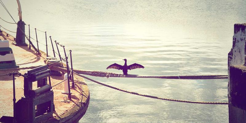 湖北美容新风尚：从美人梦园看本土美业如何定义美丽新标准