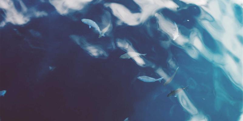 湖北美容新风尚：宜昌特色中医养生项目，让发型设计与健康美颜完美融合