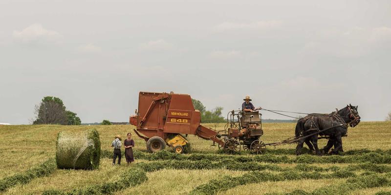 湖北美容行业人才缺口现状与校企合作培养模式探讨：破解化妆品与专业护肤领域人才困局