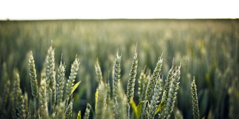 湖北美容行业深度解析：从专业护肤到发型设计的成功案例与趋势洞察