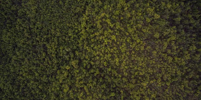 湖北美容进阶：从美发艺术到整体造型的时尚蜕变