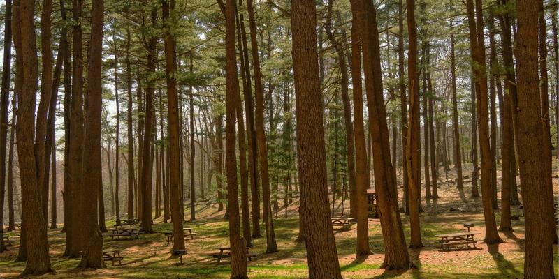 湖北美容院如何以专业护肤与美发服务打造差异化优势，吸引本地顾客