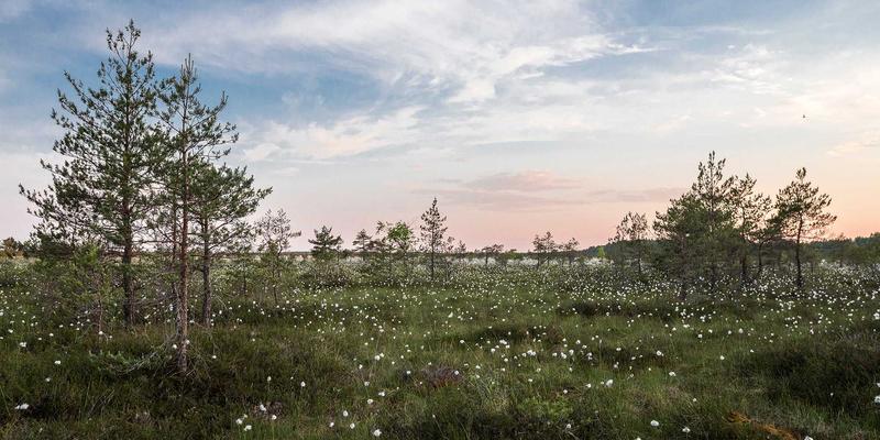 湖北美容院线产品采购指南：武汉批发市场与线上平台的发型设计、专业护肤采购策略